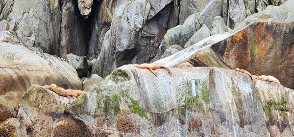 Grand Circle Travel by null