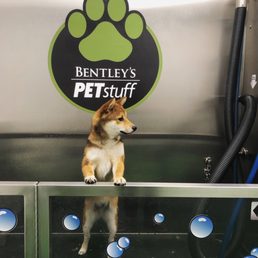Bath time for naughty potatoes