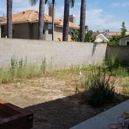 Backyard before