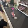 The Big Dollar Store