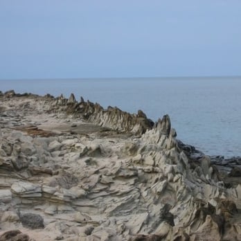 Dragon's Teeth - Local Flavor Near Me - Kapalua, Hawaii Dragon's Teeth - Local Flavor Near Me - Kapalua, Hawaii