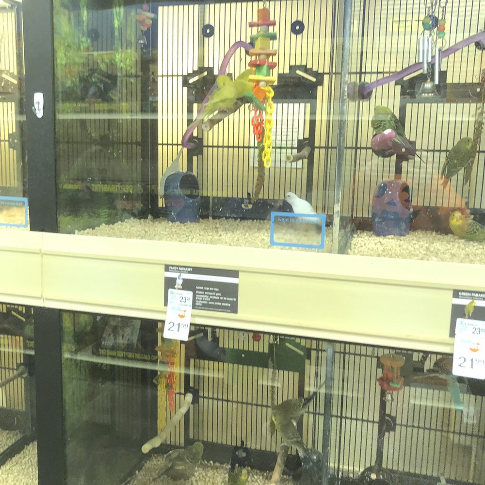 PetSmart - Birds - Pet Stores Near Me - Smyrna, Georgia