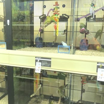 PetSmart - Birds - Pet Stores Near Me - Smyrna, Georgia PetSmart - Birds - Pet Stores Near Me - Smyrna, Georgia