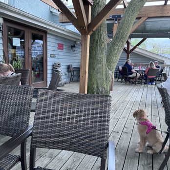 Wolfden Brewing Company - Brewpubs Near Me - Bloomingdale, Illinois