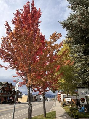 Local Kitchen Provisions by null