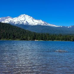Lake Siskiyou - Shasta views
