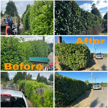 Cesar Lawn Maintenance & Landscaping - Landscaping Near Me Cesar Lawn Maintenance & Landscaping - Landscaping Near Me