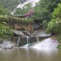 Photo of Instituto Terra