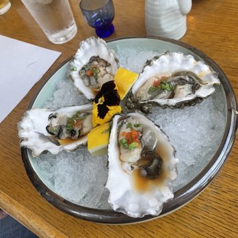 Studio Sushi - Oysters are superb - Sushi Bars Near Me - Studio City, California Studio Sushi - Oysters are superb - Sushi Bars Near Me - Studio City, California