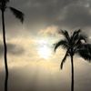 Mid-Pacific Country Club gift card