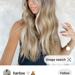 Bishops - Inspo pic