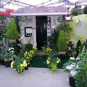 Posy Patch Greenhouse & Gift Shop - Gift Shops Near Me - Owen, Wisconsin Posy Patch Greenhouse & Gift Shop - Gift Shops Near Me - Owen, Wisconsin