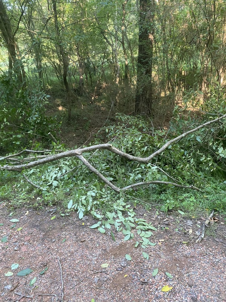 BLUE WATER ENTERPRISES Updated April 2024 16 Photos 24 Blue Water