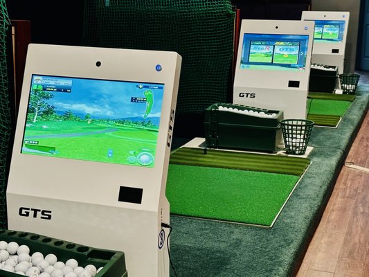 W Screen Golf by null