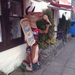 Johnsons Fudge Shop - Don't have a cow man, have an ice cream!