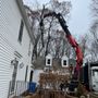 Photo of Rayzor's Edge Tree Service