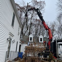 Rayzor's Edge Tree Service - The work begins