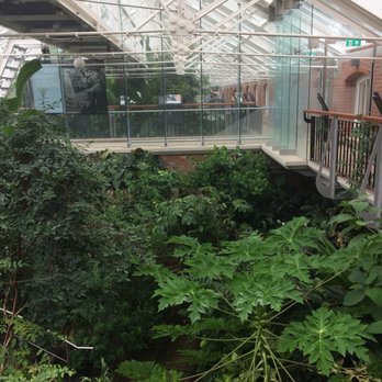 Tropical Ravine - Landmarks & Historical Buildings Near Me - Belfast, ABE