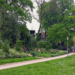 Hessepark - Blüten und Bänke (05/2017)
