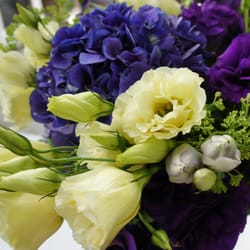 Riverhead Farmers Market - Beautiful Lisianthus from Pierpont Blossom Farm.  Part of the indoor season of the Riverhead Farmers Market, Saturdays 10am-2pm