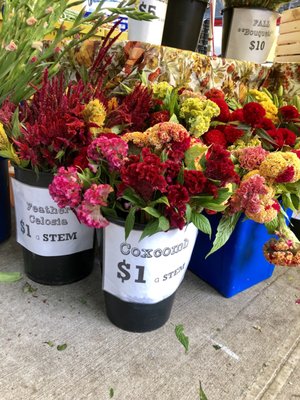 Tompkins Square Park Greenmarket by null
