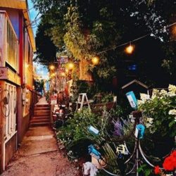 Alli Bar - Walkway to the Alli!!