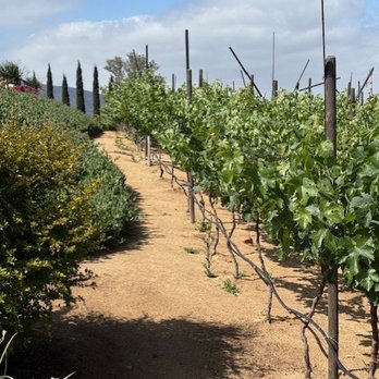 La Cima Del Valle - La Cima vineyard - Hotels Near Me - Villa de Juárez, BCN La Cima Del Valle - La Cima vineyard - Hotels Near Me - Villa de Juárez, BCN