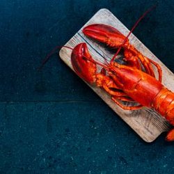 Steak & Lobster