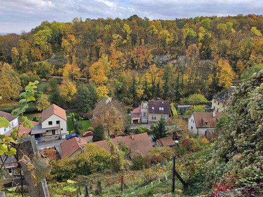St Barbara's Church by null