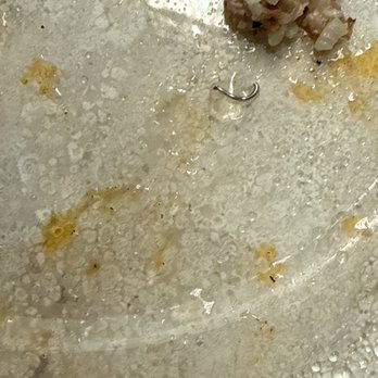 Teriyaki Madness - Peice of metal from my food - Asian Fusion Near Me - San Antonio, Texas Teriyaki Madness - Peice of metal from my food - Asian Fusion Near Me - San Antonio, Texas