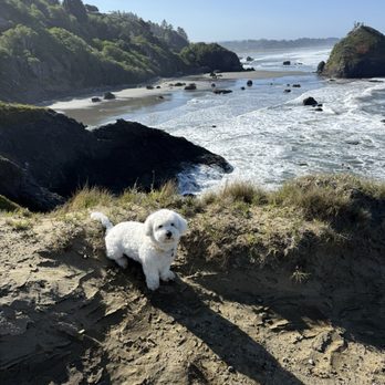 Luffenholtz Beach Park - Hiking Near Me - Trinidad, California