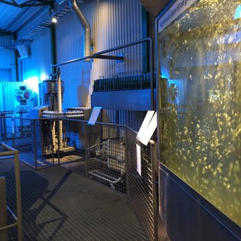 Kiviks Musteri - Tour the model Apple making facility! - Beer, Wine & Spirits Near Me - Kivik, M
