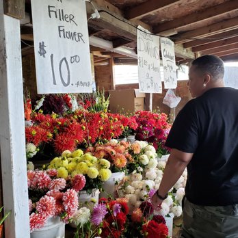 Fresh Flower Farm - Florists Near Me - Auburn, Washington