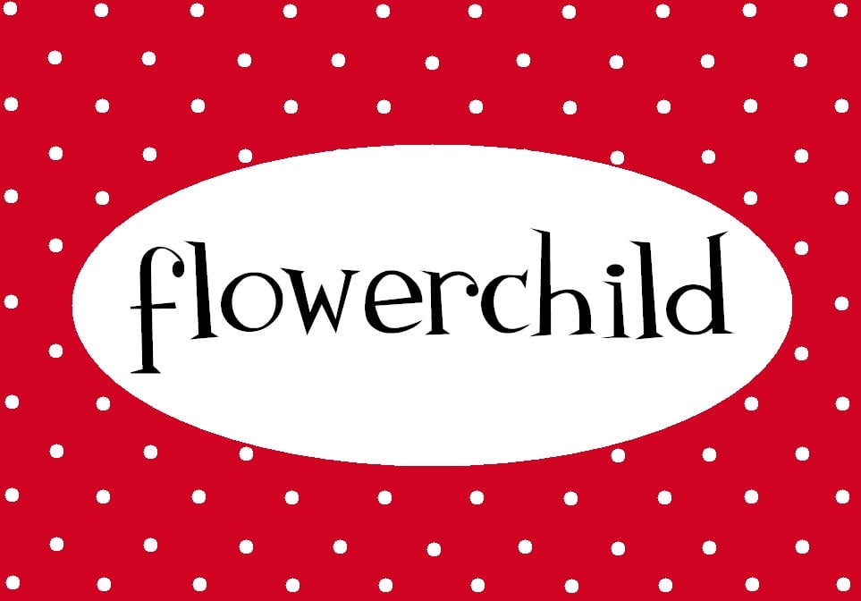 FLOWERCHILD Updated April 2024 Bloemdwarsstraat 2123, Amsterdam