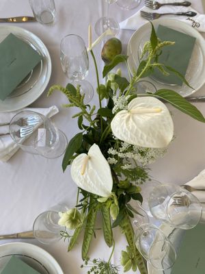 San Diego Made Factory by null