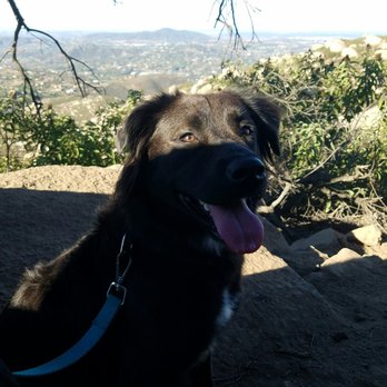 Mount Woodson Trail - On the way up! - Hiking Near Me - Poway, California