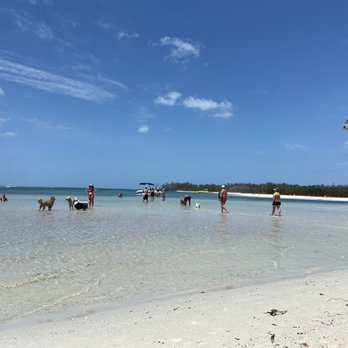 Dog Beach Park - Dog Parks Near Me - Fort Myers, Florida Dog Beach Park - Dog Parks Near Me - Fort Myers, Florida