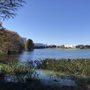 Photo of Lake Estelle Park