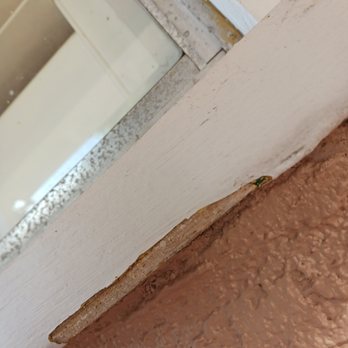 10 Year Paint - Painters Near Me