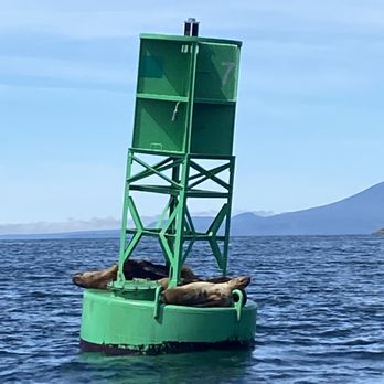 Sitka Wildlife Tours - Tours Near Me - Sitka, Alaska Sitka Wildlife Tours - Tours Near Me - Sitka, Alaska