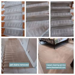 Clean Team CLT - Hot water extraction with pet stain removal