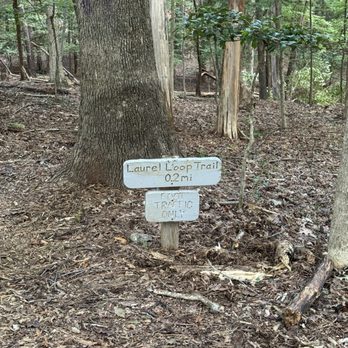 Blue Jay Point County Park - Laurel loop trail (0.2 miles) - August 2026 - Parks Near Me - Raleigh, North Carolina Blue Jay Point County Park - Laurel loop trail (0.2 miles) - August 2026 - Parks Near Me - Raleigh, North Carolina