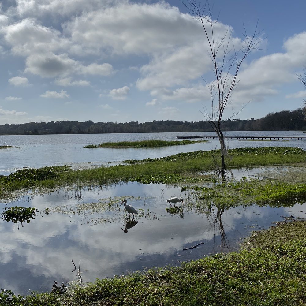 Prairie Lake Park - Parks Near Me - Ocoee, Florida