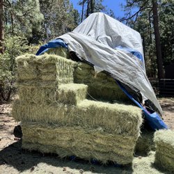 Camping Services YMCA - Hay for the horses