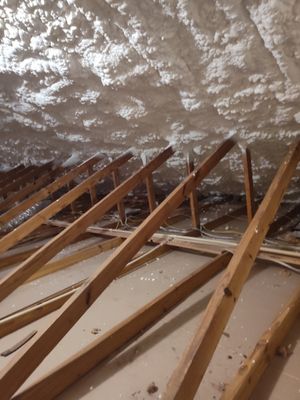 My Florida Insulation on Yelp