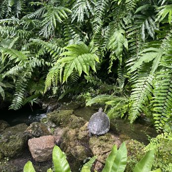 Garfield Park Conservatory - Parks Near Me - Chicago, Illinois