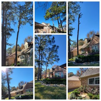 Little Shepherds - Tree Services Near Me - Pattison, Texas Little Shepherds - Tree Services Near Me - Pattison, Texas