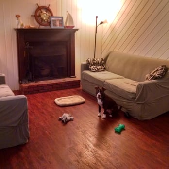 Camp Seawatch Kennels - Pet Sitting Near Me - Newtown, Connecticut Camp Seawatch Kennels - Pet Sitting Near Me - Newtown, Connecticut
