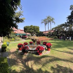 Restaurante Las Mañanitas - Gardens