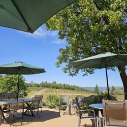 Lava Cap Winery - Great picnic area with shade overlooking the vineyard